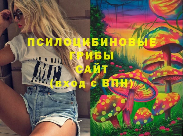 не бодяженный Алексин