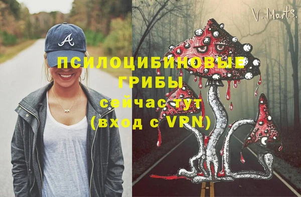 не бодяженный Алексин