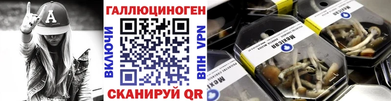 Псилоцибиновые грибы Cubensis  купить   OMG ССЫЛКА  Мичуринск 